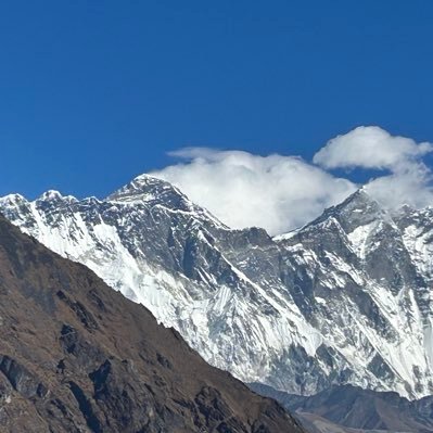 tachan151's profile picture. 本は買うもの、読めばなお良し。