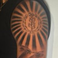 Eritrawi1 (@eritreans11) 's Twitter Profile