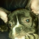 Sarah Lamm - @sarah_lamm - Twitter