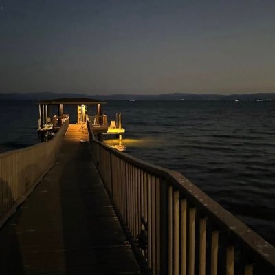 Travis531575941's profile picture. 