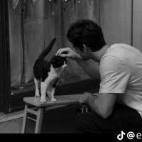 بيتر (@ho_sh3) Twitter profile photo