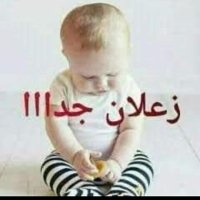 علي (@alsh627106) 's Twitter Profile
