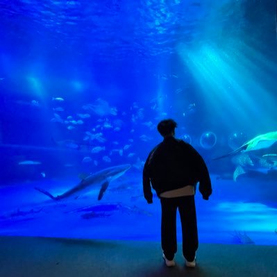 TCROM_1997__kom's profile picture. マイヒーローは永遠に