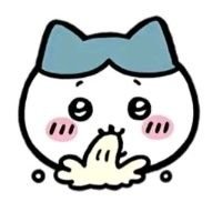 のらねこさんのプロフィール画像