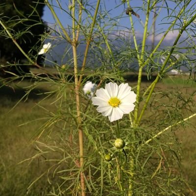 真理、真実に至るにサイトです⇒https://t.co/smFbjmLol0
⇒https://t.co/lkBK5izLww