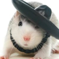 smoosh (@smooshysmushy) 's Twitter Profile