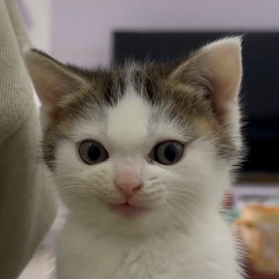 qtechjournal's profile picture. My Tech Journey!