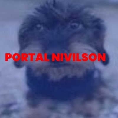 📱o seu portal de notícias da Bobolandia. tudo sobre politica, famosos, entretenimento. confira os fatos irrelevantes da Bobolandia aqui.