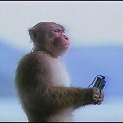 dylannrobert's profile picture. 