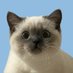 ca สษ (@qgembil) Twitter profile photo ca สษ (@qgembil) Twitter profile photo