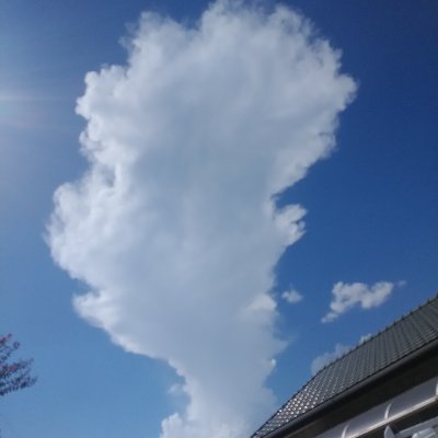 dandysuu's profile picture. 国内屈指の巨大施設  アクアワールド 茨城県大洗水族館
総合得点で日本一の水族館だと確信して配信しております

年間パスポートを有意義に活用し たとえ お一人様でもオトナとして
礼節をもって  優雅にお洒落をして  威風堂々と 気ままに当館を歩く
そんなご提案ができれば幸いです   溢れる愛の場所へ  さぁ新世海！