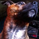 Barney Drew - @Barney_Drew - Twitter