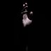 Paulin Jean Francois (@pjeanfrancois) Twitter profile photo Paulin Jean Francois (@pjeanfrancois) Twitter profile photo