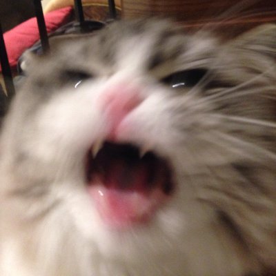 i play overwatch
https://t.co/QgiCN4dPzu
https://t.co/AznrIqf9il
https://t.co/RwjKuPEPub
https://t.co/ob1Qm5XkvH