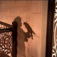 ٰ (@y37px) 's Twitter Profile