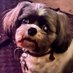 Robert Johnson (@daucus_kar0ta) Twitter profile photo Robert Johnson (@daucus_kar0ta) Twitter profile photo