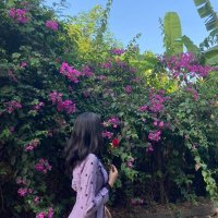 yisabelle (@yisabelle931) 's Twitter Profile