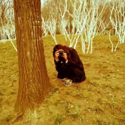yuan2024720's profile picture. 
