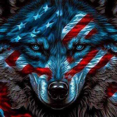NightSquirrel87's profile picture. Jesus Christ is King 👑
WG1WGA