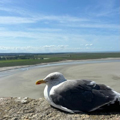 0toushikashin's profile picture. 社会人0年生、株1年生、仮想通貨2年生