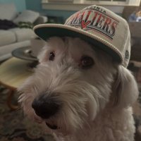 Henry (@henry_goms) 's Twitter Profile