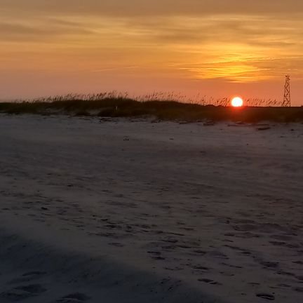 aerofinvictor's profile picture. Husband, Dad, Gen-X'er, surf fishing and crypto investor however missed buying BTC @ $100