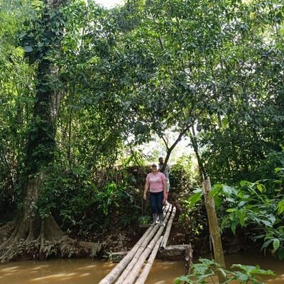 JrGisselle's profile picture. Ingeniera forestal🌿