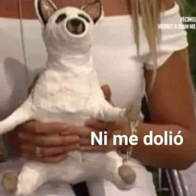 TheCrit67526710's profile picture. 