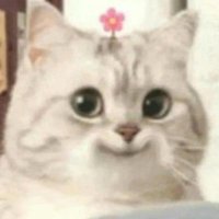 Jikka (@jikkadefino) 's Twitter Profile