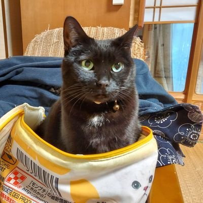 358michiyo's profile picture. 