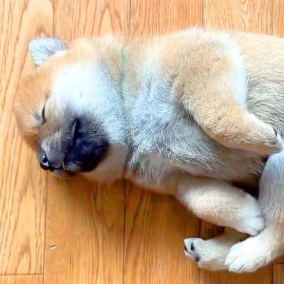 aHP6X6stk977644's profile picture. 土木屋です。配水小管の敷設替えや新設等の工事をしています。