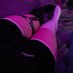 plushie🌸✨ (@femboyplushie) Twitter profile photo plushie🌸✨ (@femboyplushie) Twitter profile photo