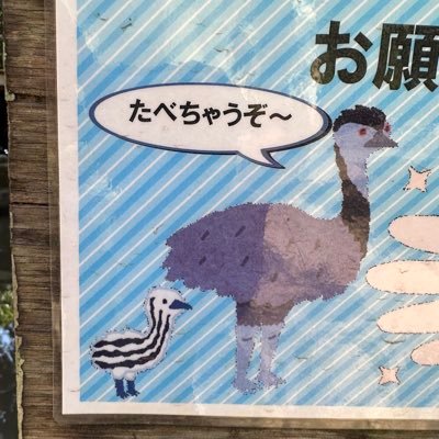 zoruda4's profile picture. 何度だって感動が 僕らの日々を灯したんだ