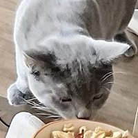 boosssloading (@breakinggbaad) 's Twitter Profile