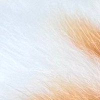 恢原 (@obscure_1o2sw) 's Twitter Profile