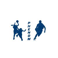 Phenom Basketball (@missouriphenom) 's Twitter Profile
