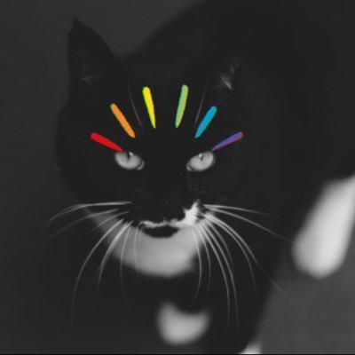 JebWhiskersさんのプロフィール画像