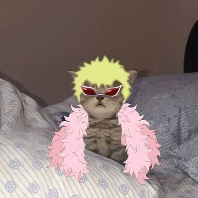 Iloveknockerss's profile picture. 