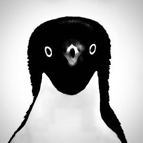 Oooolong__Tea__'s profile picture. 園芸dystopia