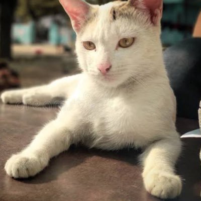 adultfamily8294's profile picture. 