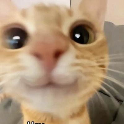hey