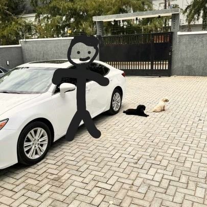 CitySylv's profile picture. I'd state it here but there's no need for that. 
you don't need to know what I'm all about.
