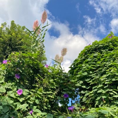 wk_ymmt's profile picture. できるだけがんばります。本と写真とおいしいものが好きです。 これから少しずつ生活について、制度への疑問などもツイートします。ハチナイID：208019880