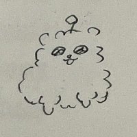 羽毛 (@_wake522) 's Twitter Profile