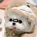 Ja (@an_tongc) Twitter profile photo Ja (@an_tongc) Twitter profile photo