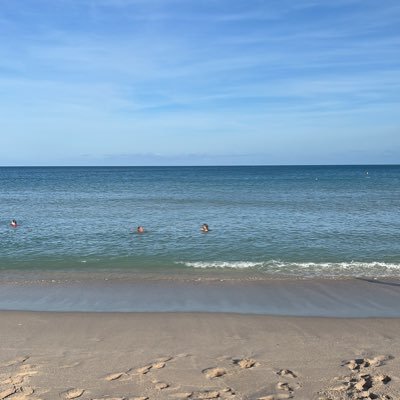 Leonard71033849's profile picture. 