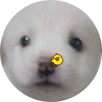 쥐 (@zzikzikk) 's Twitter Profile Photo 쥐 (@zzikzikk) 's Twitter Profile Photo