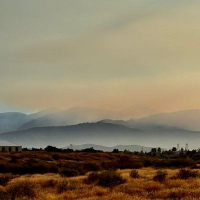 wastingtime5678's profile picture. 