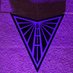 The Valkyries Fan 🪽 💜🏀 (@thevalkyriesfan) Twitter profile photo The Valkyries Fan 🪽 💜🏀 (@thevalkyriesfan) Twitter profile photo