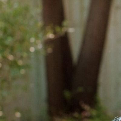 Aria_SerenLumi's profile picture. インスピレーション、ふとした瞬間の気付きを言葉やイラスト、詩へ落とし込む人
ARIA(エイリア)。